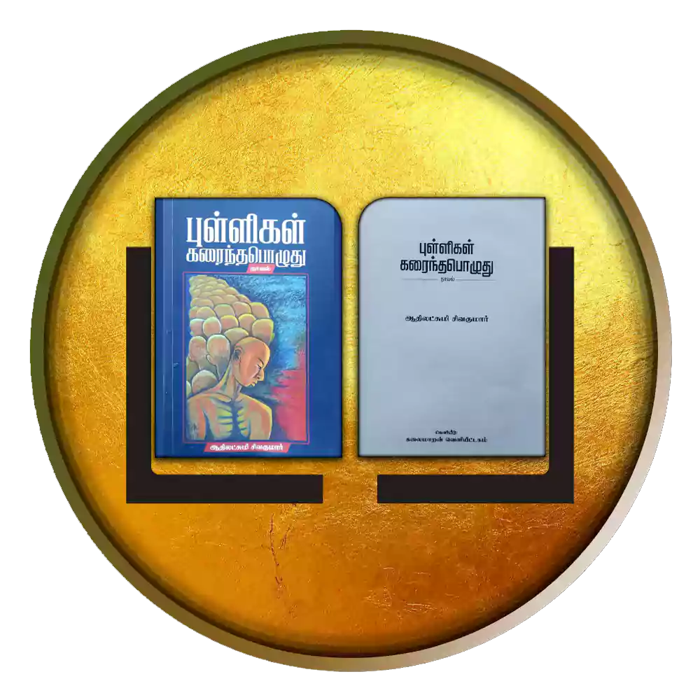 புள்ளிகள் கரைந்தபொழுது நாவல்